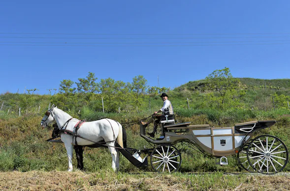 Kutschfahrt Krems an der Donau